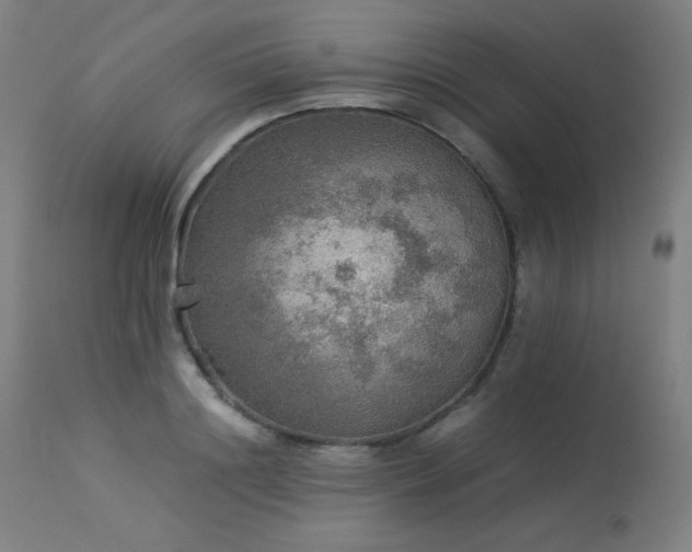 X0000114170844200910081520