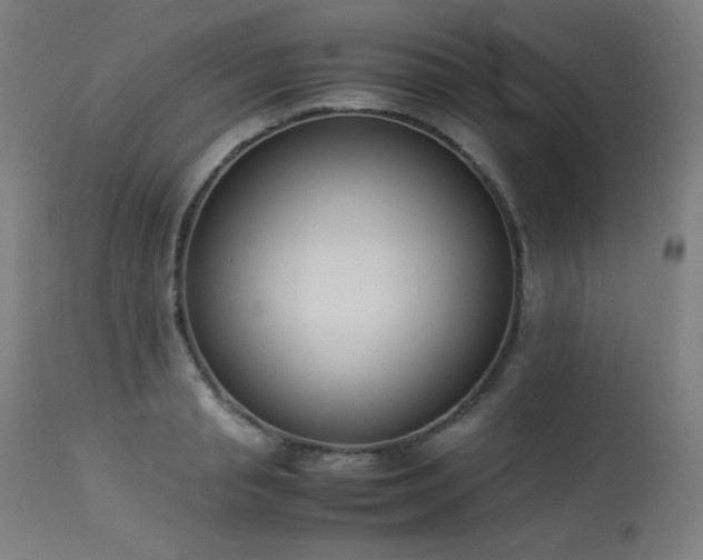 X0000114170845200910081520