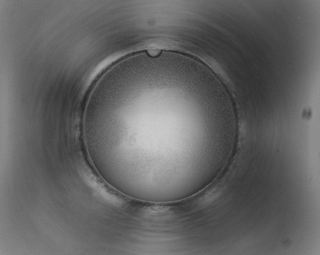 X0000114170846200910081520