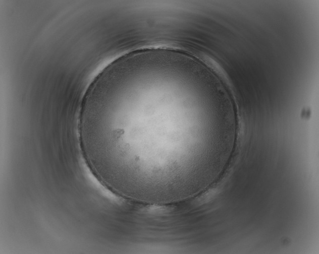 X0000114170847200910081520