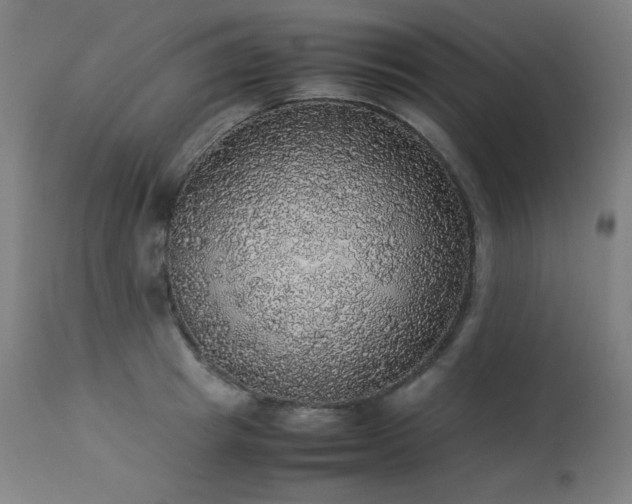 X0000114170849200910081520
