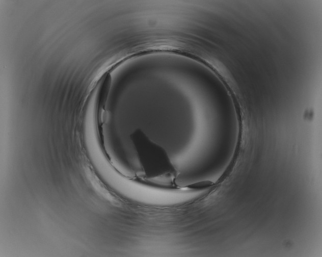 X0000114170850200910081520