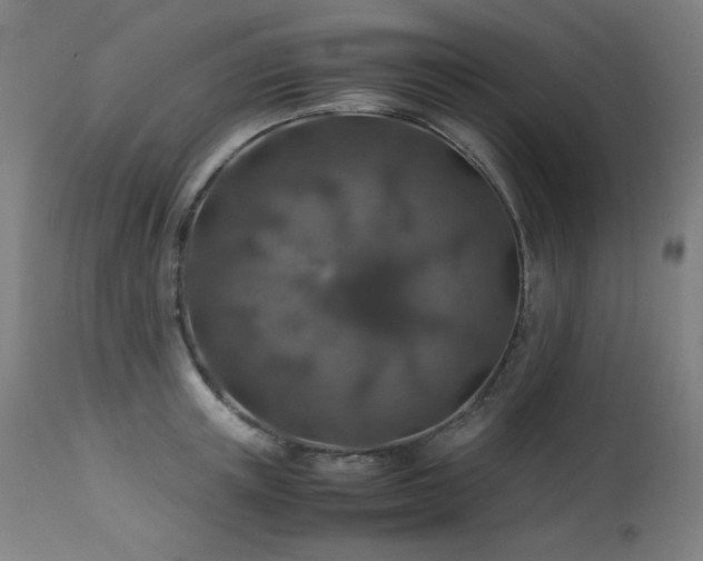 X0000114170851200910081520