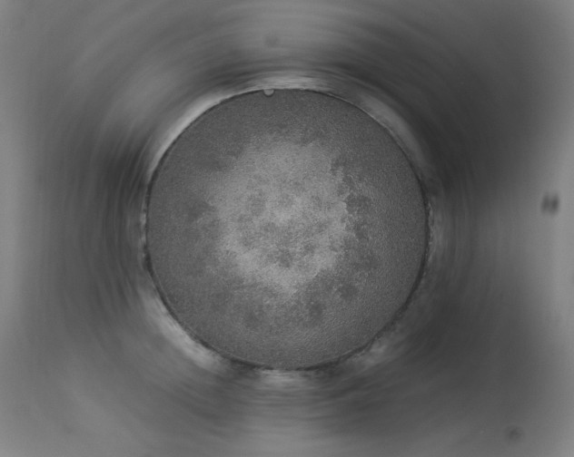 X0000114170852200910081520