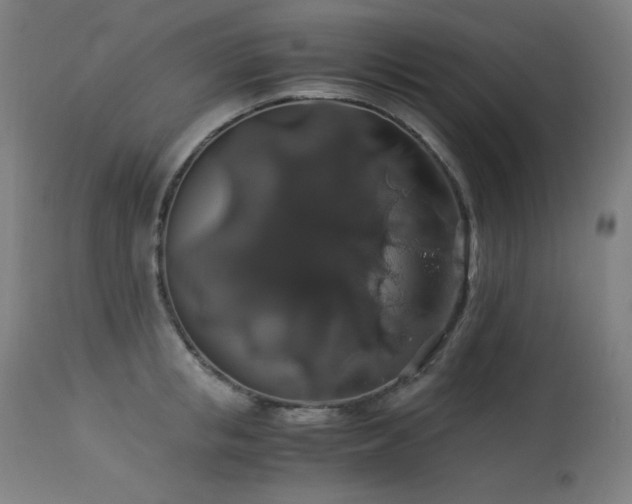 X0000114170853200910081520