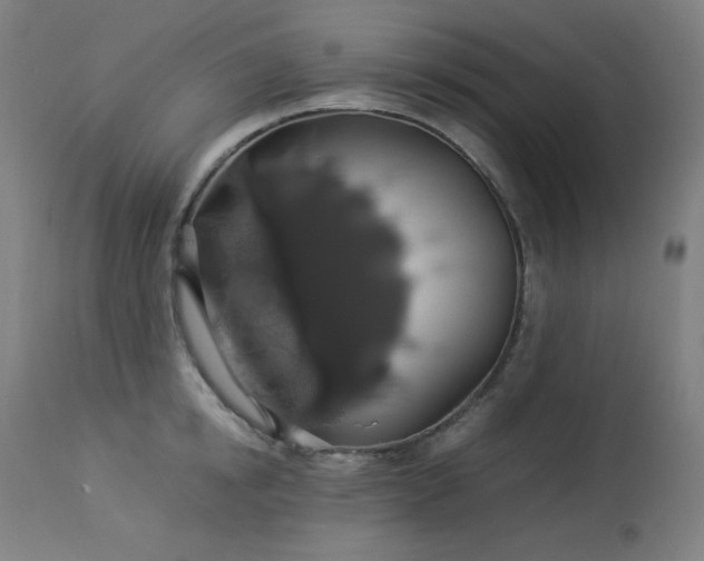 X0000114170854200910081520