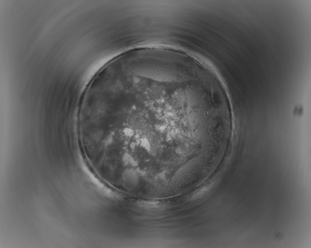 X0000114170855200910081520