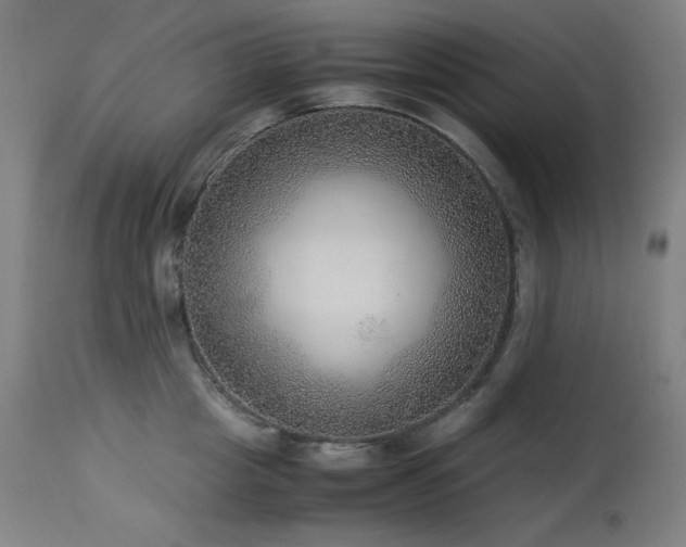 X0000114170857200910081520