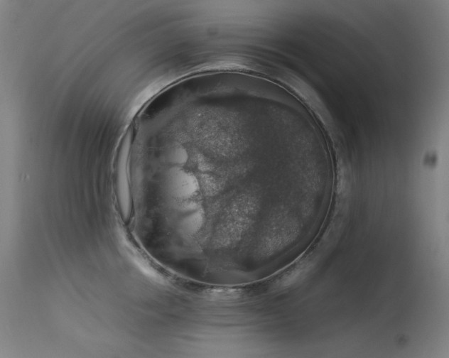 X0000114170858200910081520