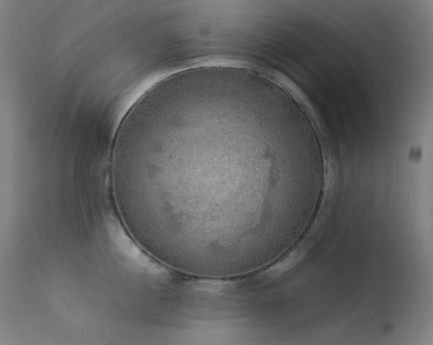 X0000114170860200910081521