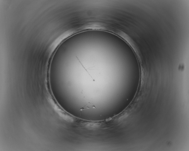 X0000114170861200910081521