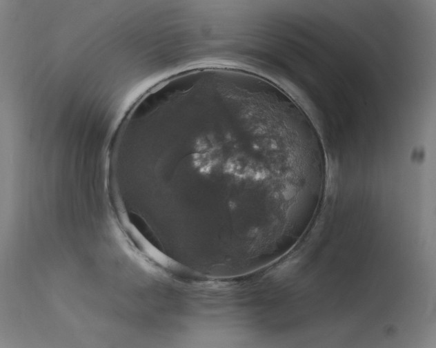 X0000114170862200910081521