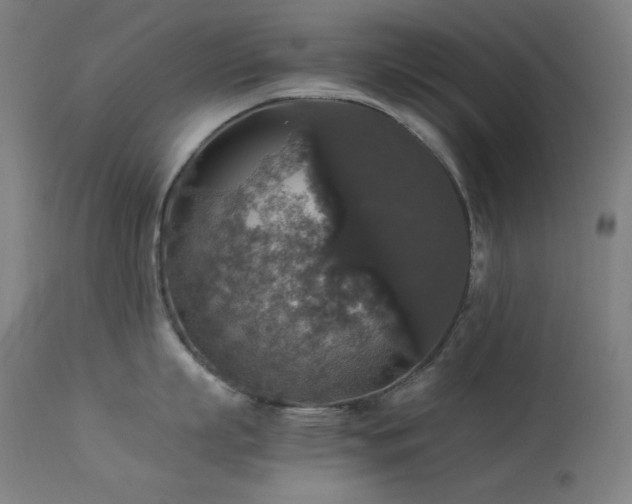 X0000114170863200910081521