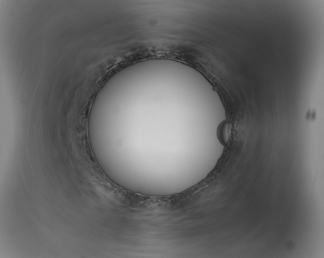 X0000114170865200910081520