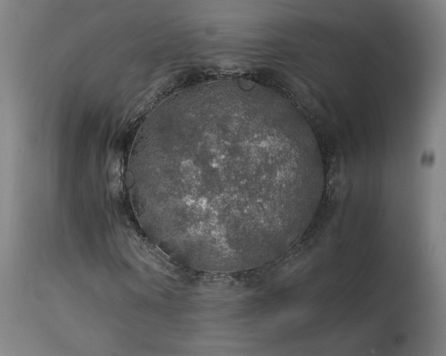 X0000114170866200910081520