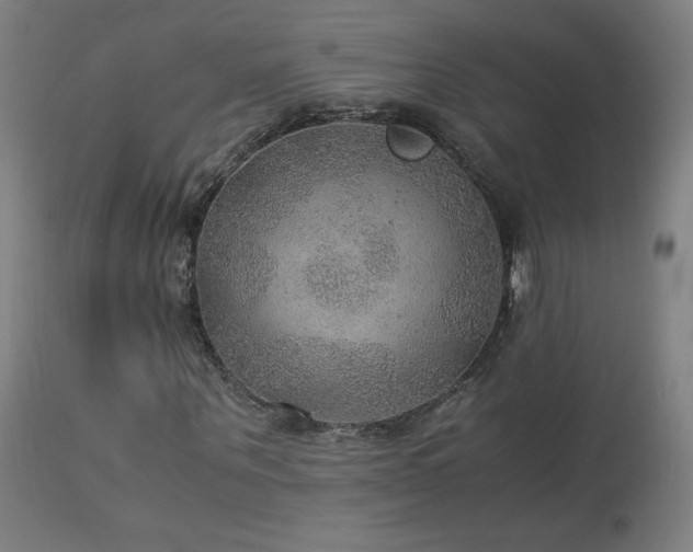 X0000114170867200910081520