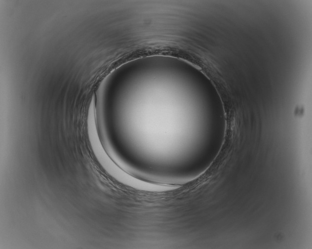X0000114170868200910081520