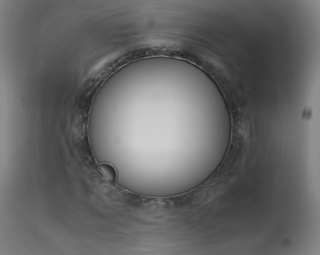 X0000114170869200910081520