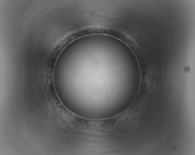 X0000114170870200910081520