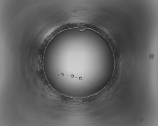 X0000114170871200910081520
