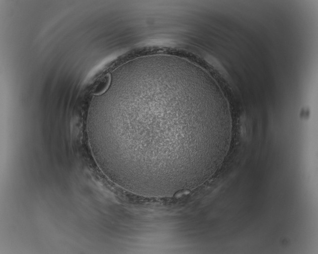 X0000114170872200910081520