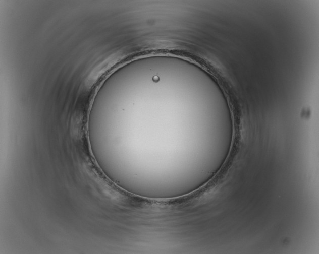 X0000114170873200910081520