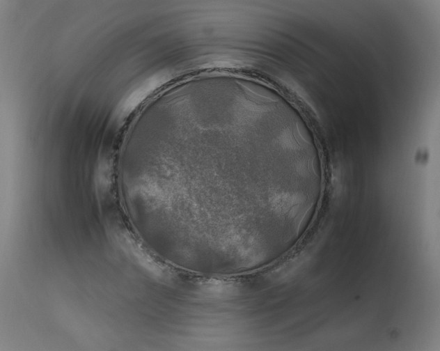 X0000114170874200910081520