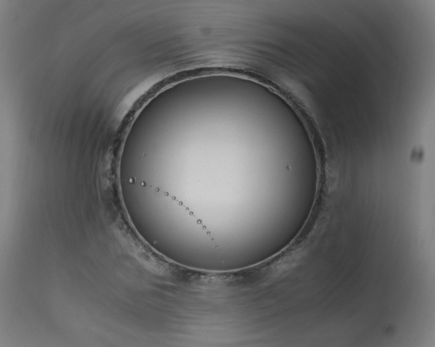 X0000114170875200910081520
