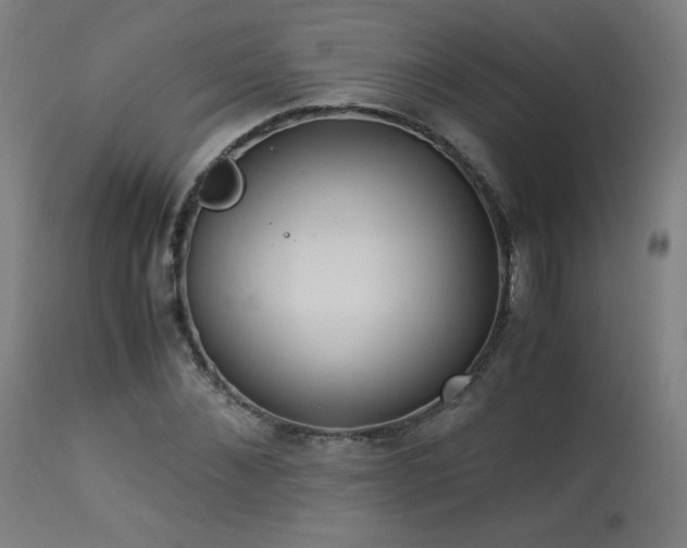 X0000114170876200910081520