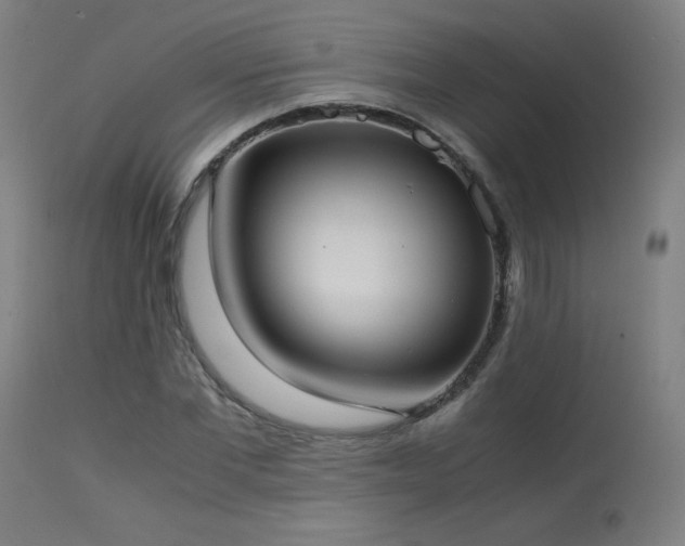 X0000114170877200910081520