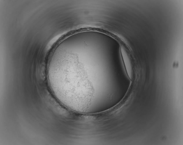X0000114170878200910081520