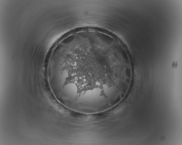 X0000114170879200910081520