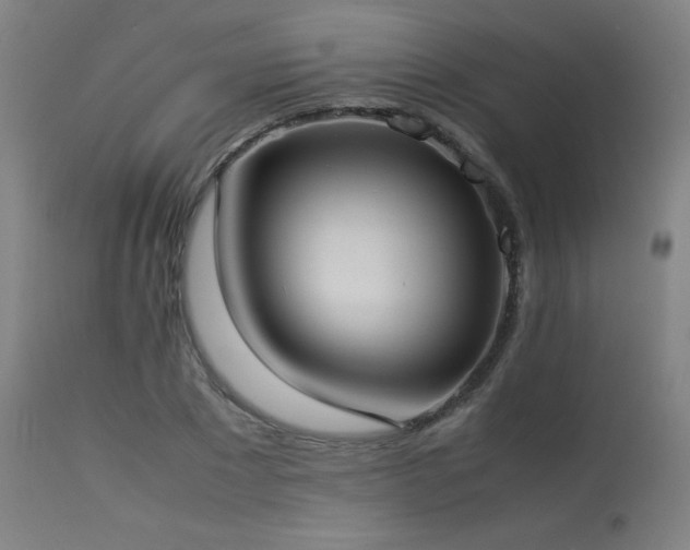 X0000114170881200910081520