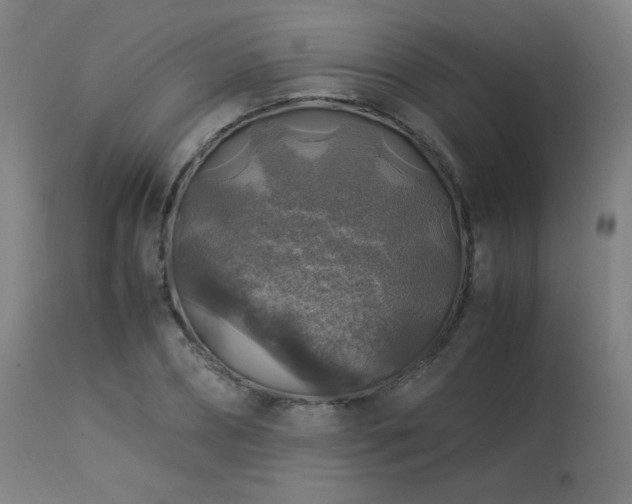 X0000114170882200910081519