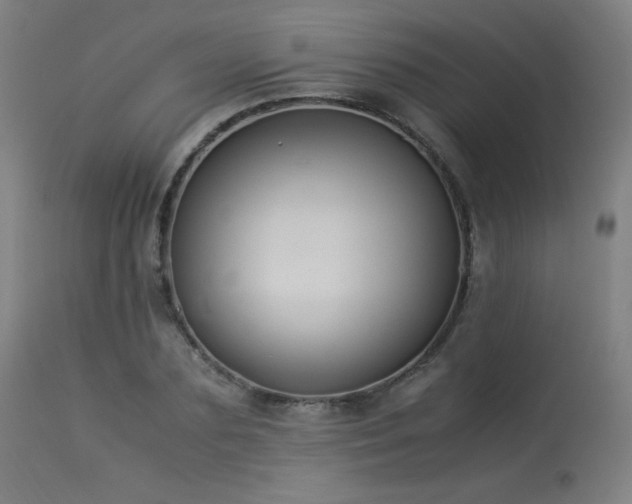 X0000114170883200910081519