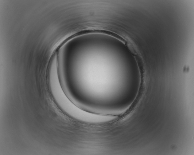 X0000114170885200910081519