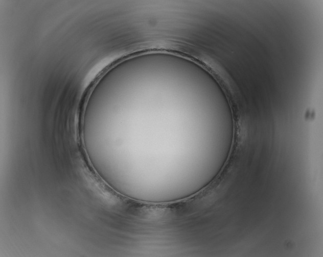 X0000114170886200910081519