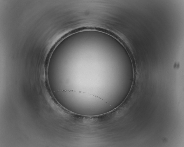 X0000114170887200910081519
