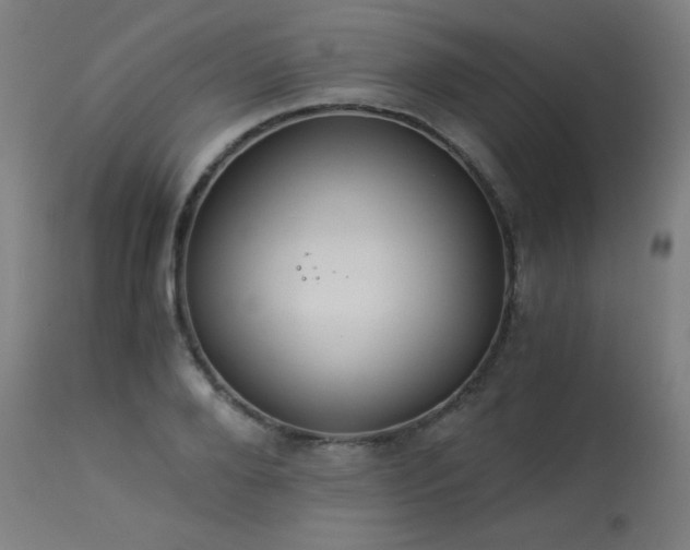 X0000114170888200910081519