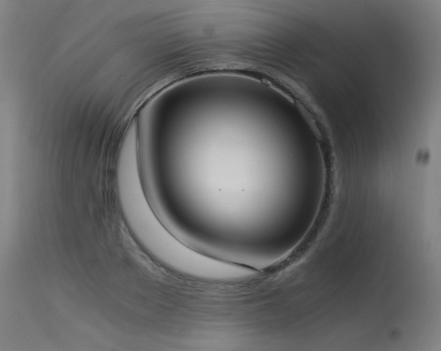 X0000114170889200910081519
