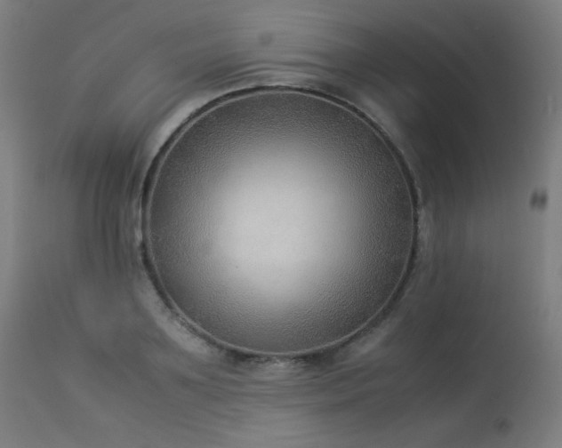 X0000114170891200910081519