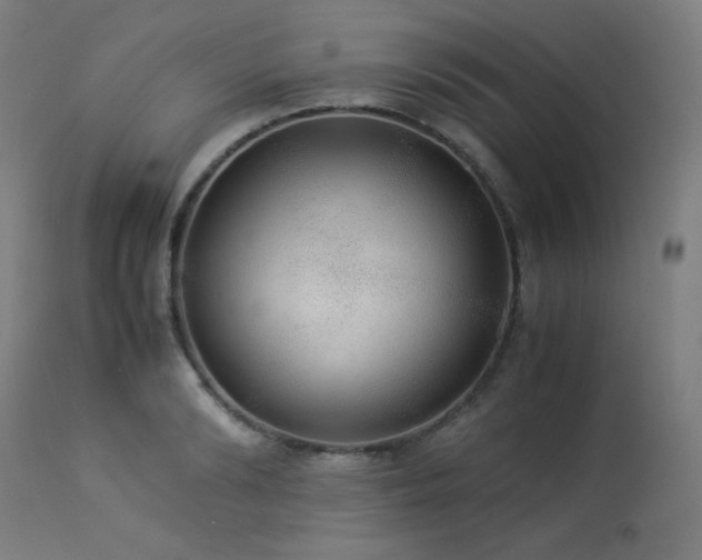 X0000114170894200910081519
