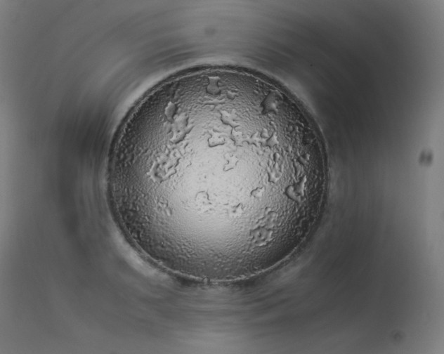 X0000114170895200910081519