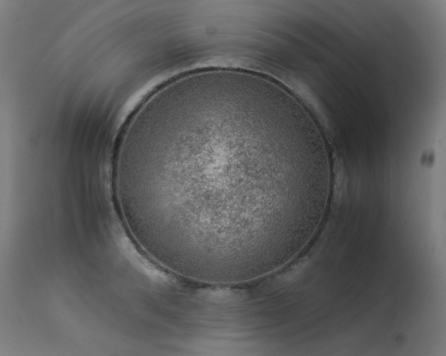 X0000114170896200910081519