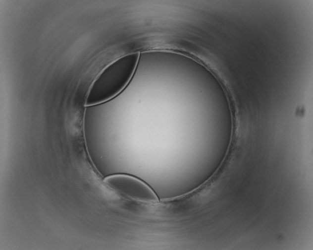 X0000114170897200910081519
