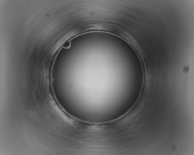 X0000114170898200910081519