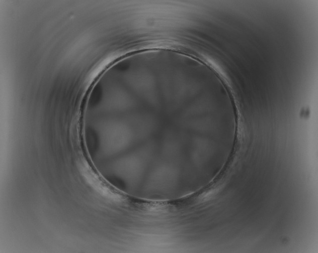 X0000114170899200910081519
