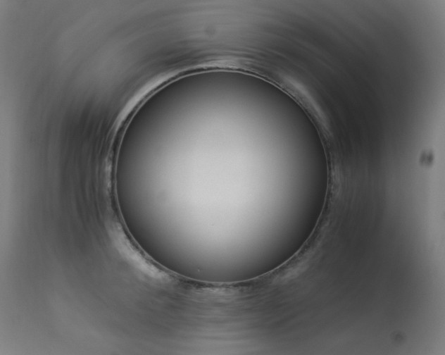 X0000114170900200910081519