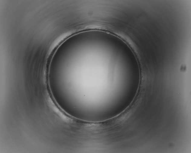 X0000114170902200910081519