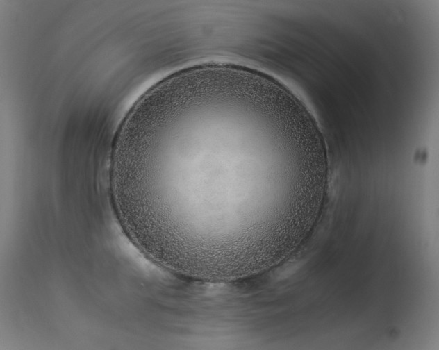 X0000114170903200910081519